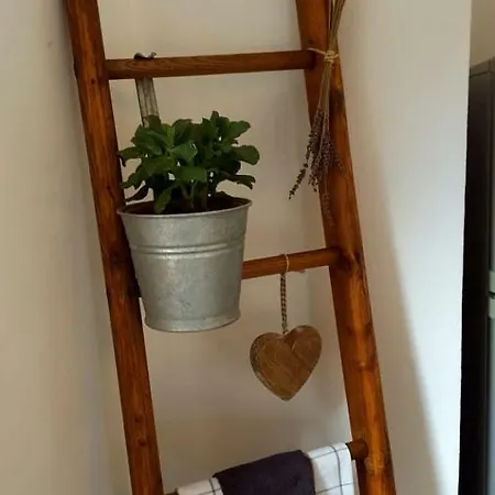 Alt Fischbach Ferienwohnung *