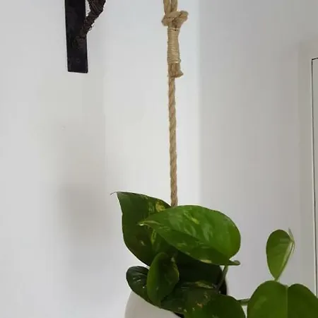 Alt Fischbach Ferienwohnung * Friedrichshafen