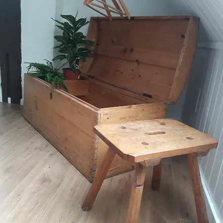 Alt Fischbach Ferienwohnung *
